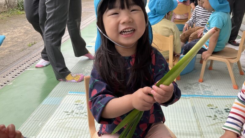 令和７年度　端午の節句